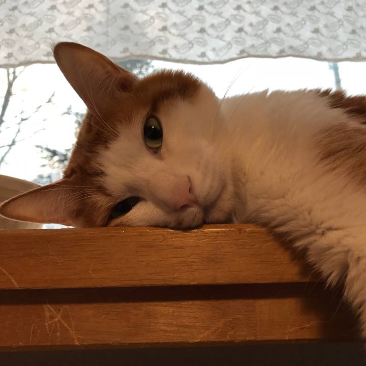 85132148 320c 4d81 92f2 0a3762199820 1547418042338