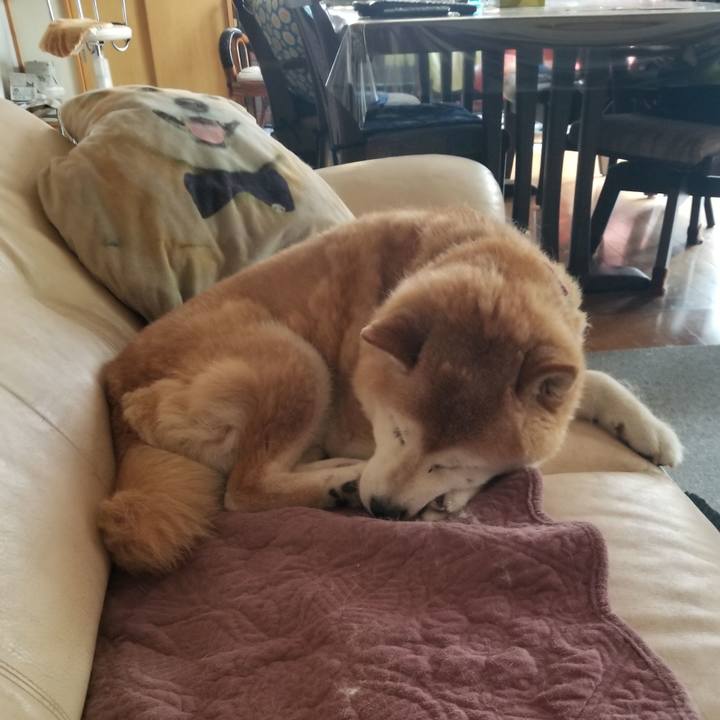 85133d3e 7317 481e 8fde 70e409edd132 1751512275970