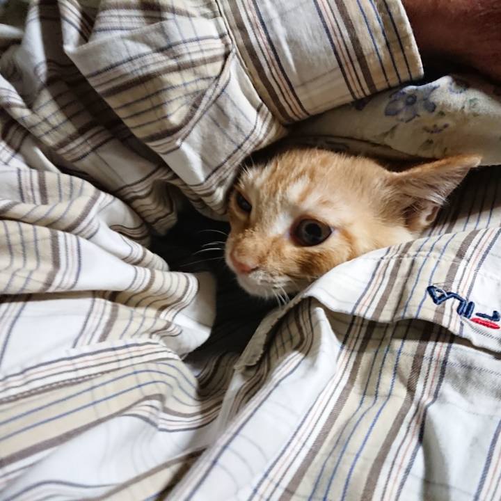 85135404 67c5 4de0 ab74 7ac58034ef80 1633378809049