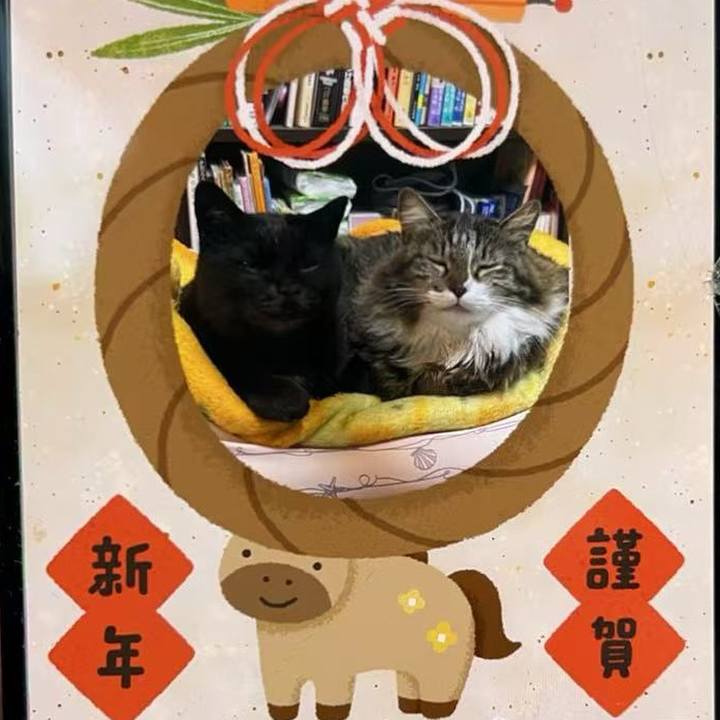 85138ee2 bf78 418f b91d bd89dc06f065 1767229816796