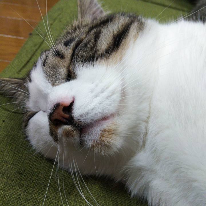 8513ba43 8a39 4cd1 9186 6ee91cee2f0e 1651924906512