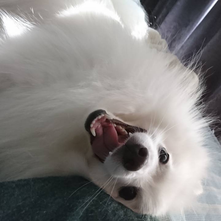 8513baf6 78c4 47ad 8c8a 57ea44c71a97 1602718018494