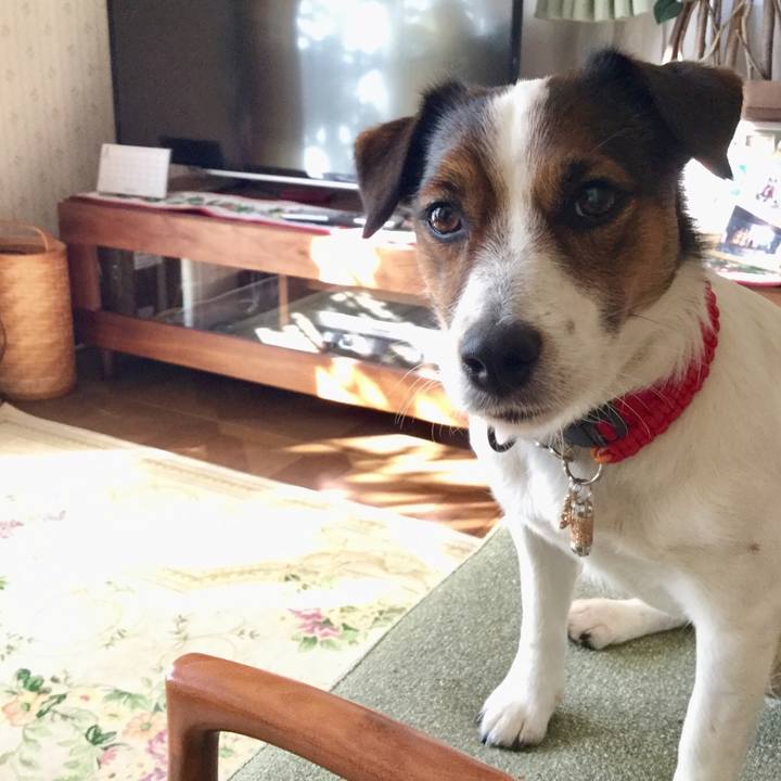 8513c4f3 ff3d 4920 aa1c 61363f048c8d 1554764130378