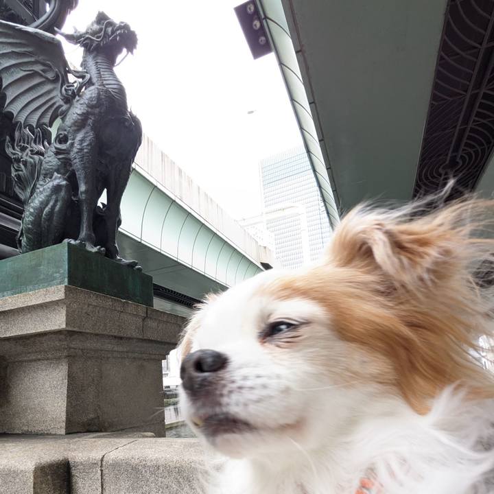 8513c94a 9c61 4758 972d 4f36f066c47c 1679387647785