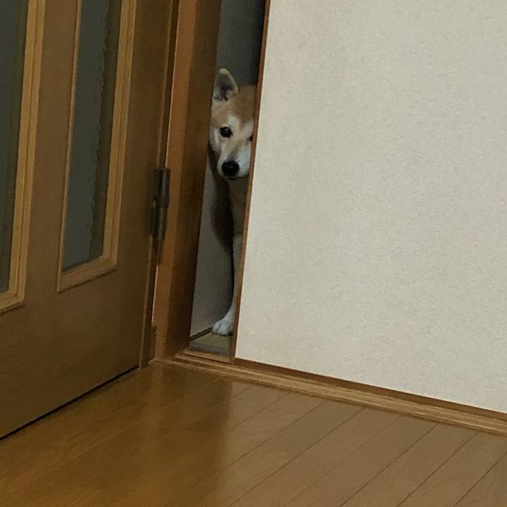 8513d6e3 4839 47fd a776 f2ab0a3c7bd4 1579757923699