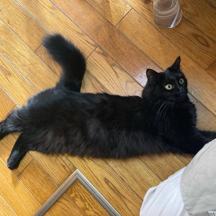 8513e870 4c27 4d8e b5b6 05e71881f386 1699148085965