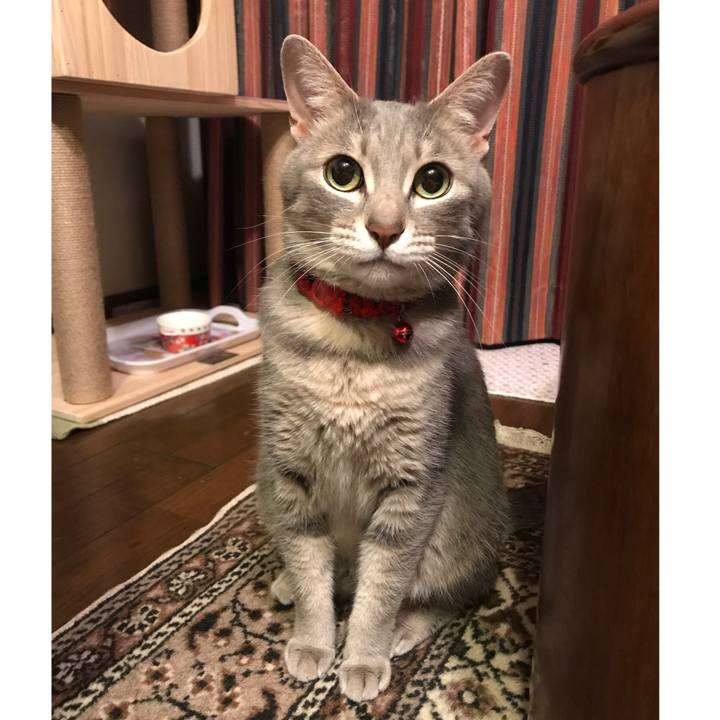 8513f299 1ec4 4ba9 9401 8194013bf184 1591858906721