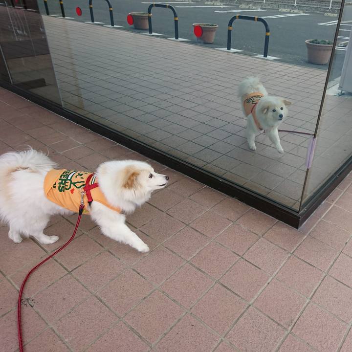 8514099e 53c1 4cdf 9bc7 79e9d983c827 1529013183687