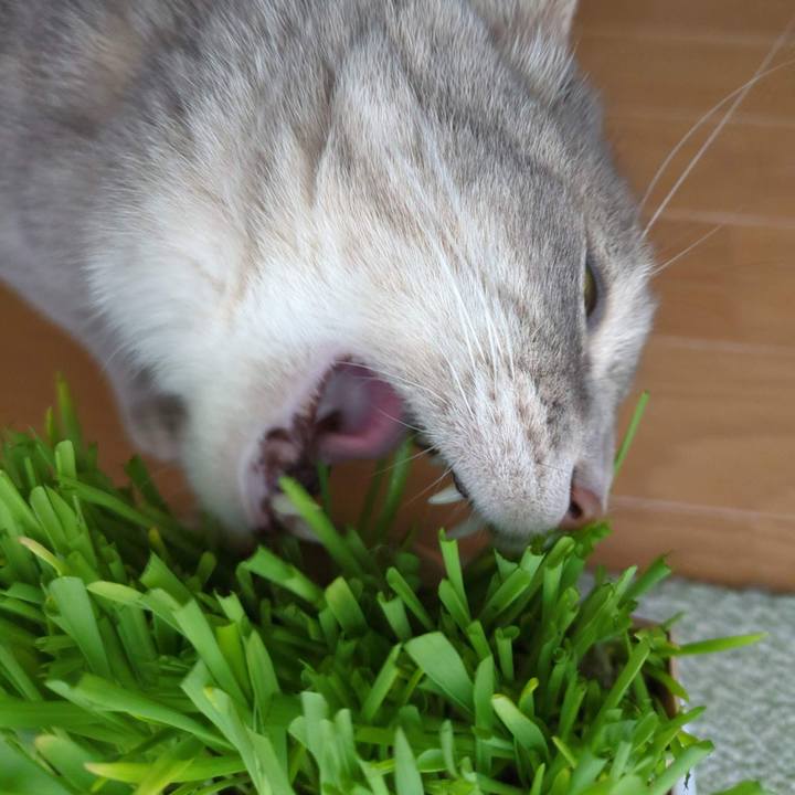 85142b4a 77ca 4594 be61 c8a37b4c1b2d 1684382754867