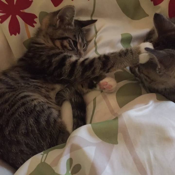 85142e22 3e58 48b0 b70c 0f5986de2c4e 1615207046124