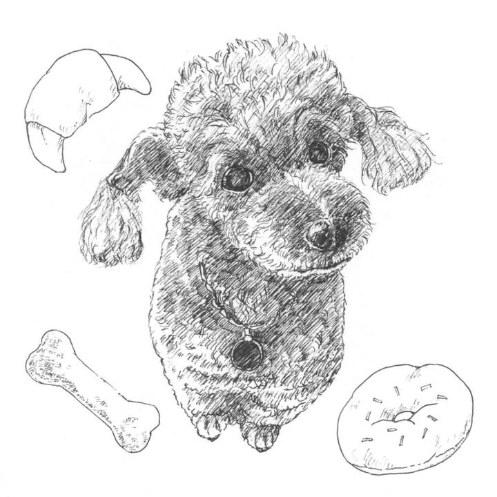 85145a0b 4eb5 4f01 aac9 172af266fd64 1581345184701