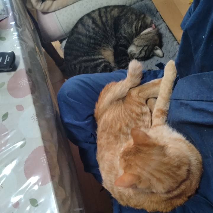 8514736d 2900 4192 9189 867c53deaf07 1668555679560