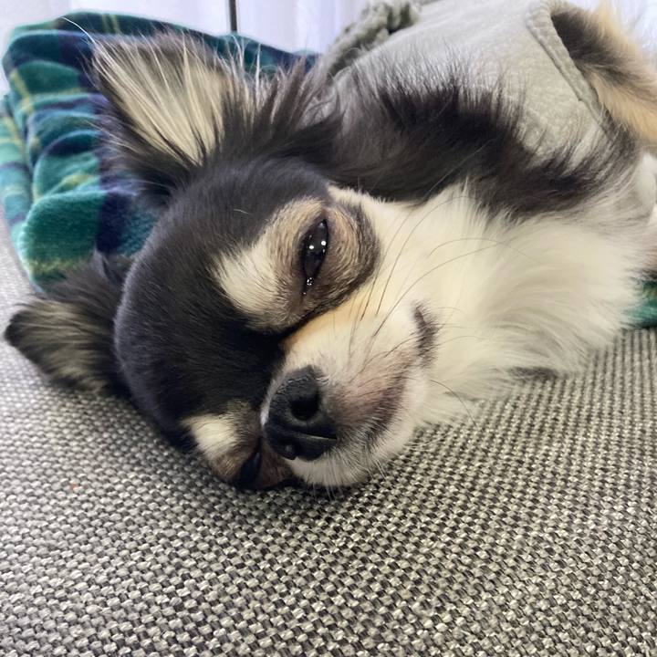 85147787 0178 4d5b b7b4 d10fbfd4ec9f 1641787780279