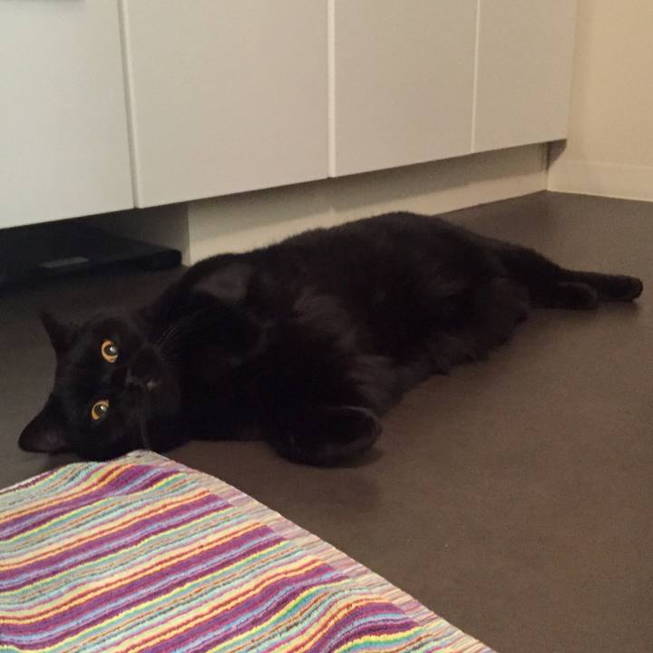 85147c2f 3e39 4eae b11c 908279765652 1569851296703