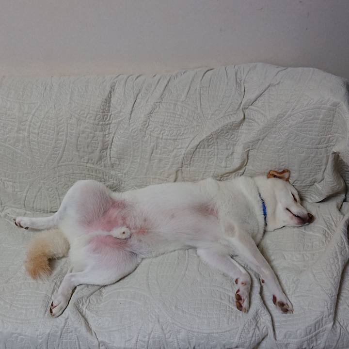 8514ce75 7896 4e7f 83eb 105184a74e0b 1567946915438