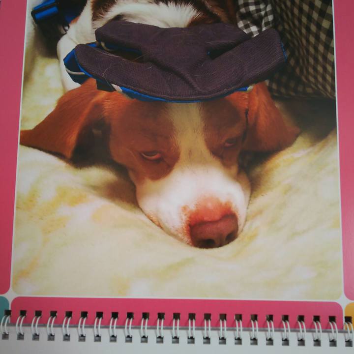 85153272 e4f9 4d39 907c 98150bbb4c8f 1614567504180