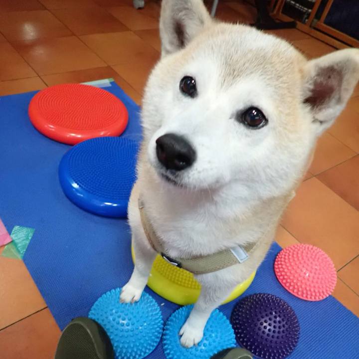 8515372e 0767 464a 81da 67157e30d341 1745447461140