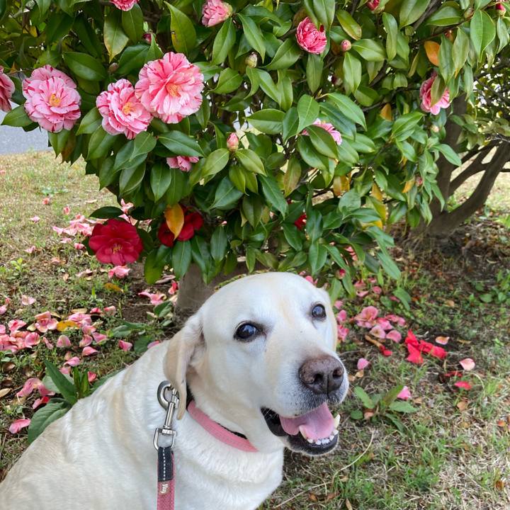 85155ffb 5639 48bb 823f 4e2df877a60d 1744200264761