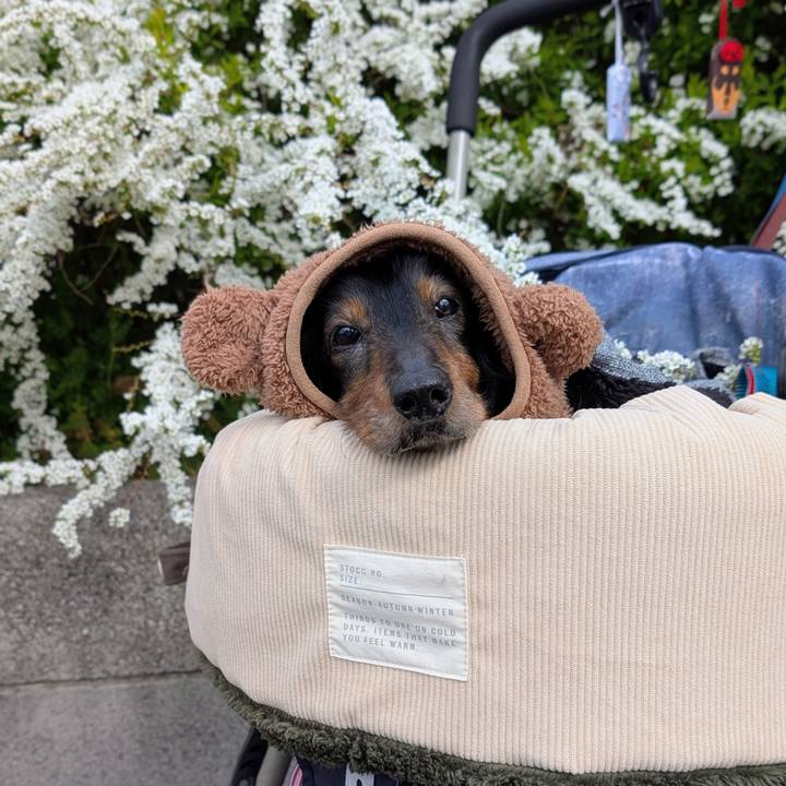 85156317 1b10 46b9 8bd2 062fc8d9a872 1764138535274