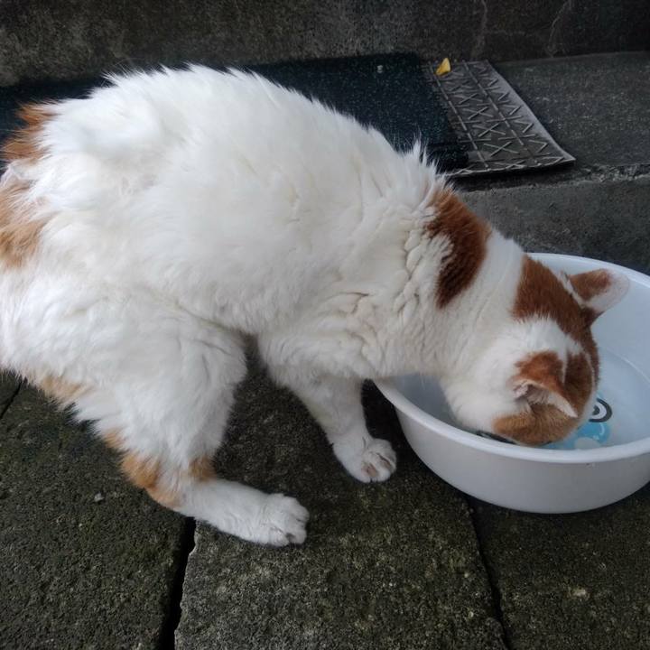 85156a58 0b5f 476c af01 9acd85883b0f 1565584731875