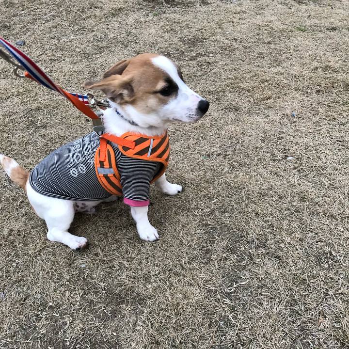 8515c09a 4a5b 499e b3c5 89e0248897e3 1550498787200