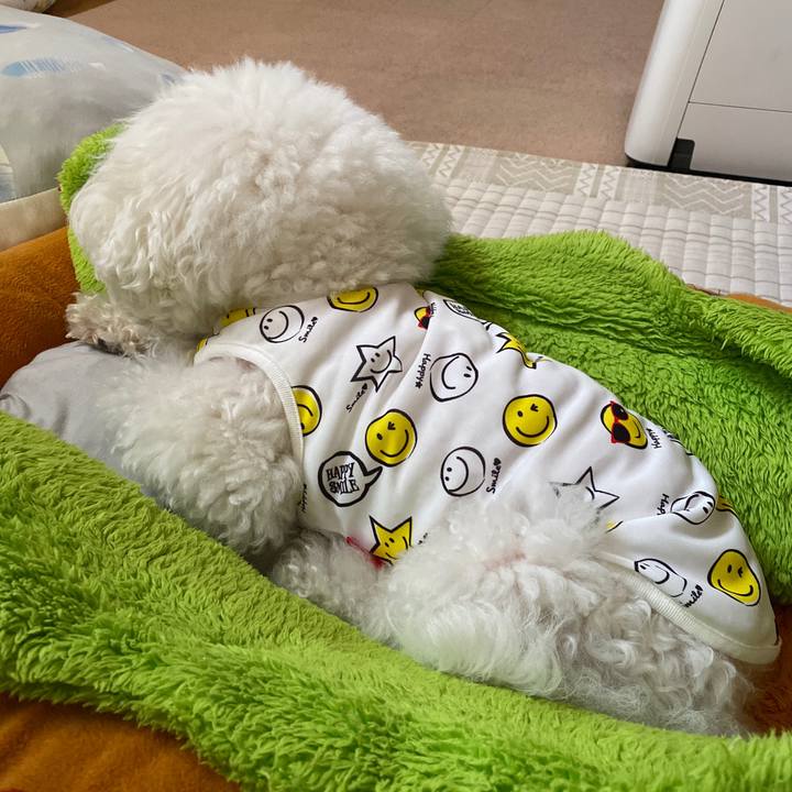 8515ec24 4dd2 4e25 9b27 015492e286d1 1684305057415