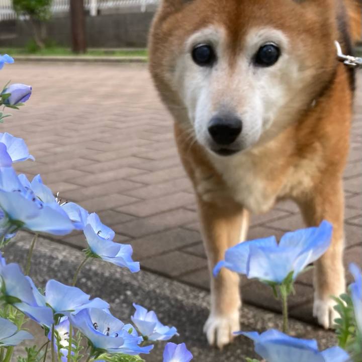 85161311 5399 4610 8969 2c78378f8534 1745056196082