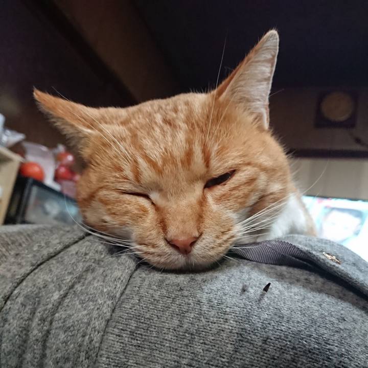 851647ad 0427 4068 bea0 7787e4640d17 1574820862893