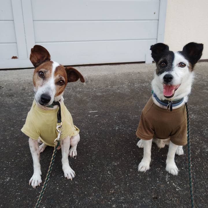 85166350 8112 4c05 bb8f cda5905fb932 1755900095811