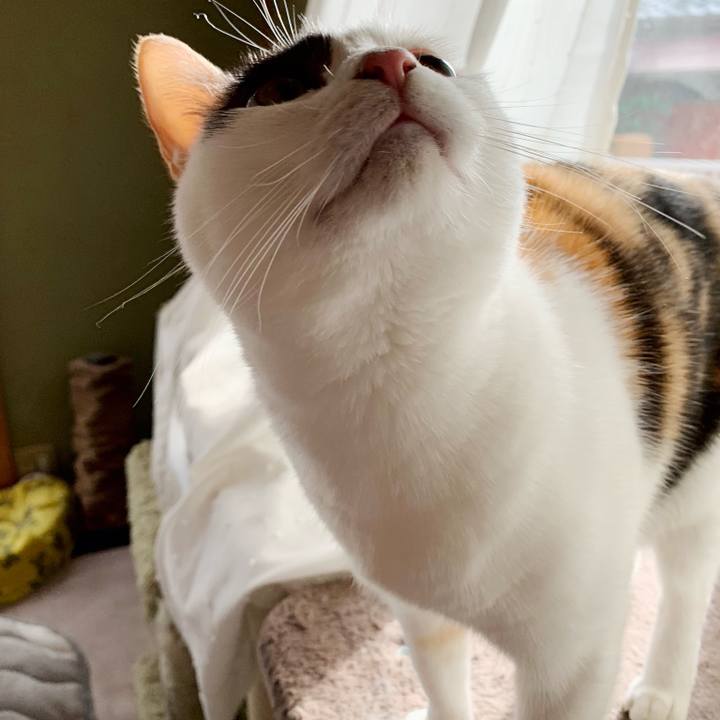 851667a7 cb60 4294 b665 6cf885069c22 1542247371029