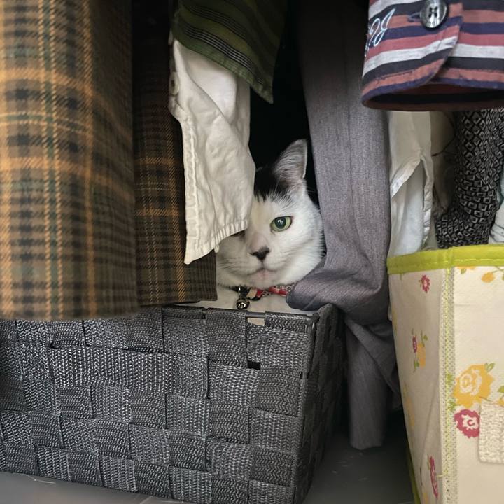 851668b0 0cc8 4f38 8f70 f4074bfd9033 1737416143492