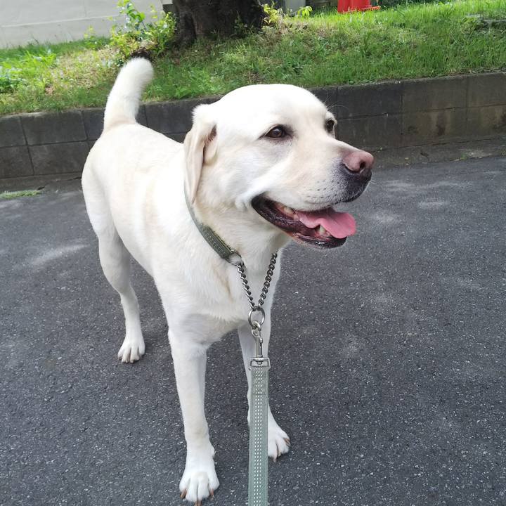 85168e48 1276 4a84 a01c 03547bc6e5c8 1530757101734