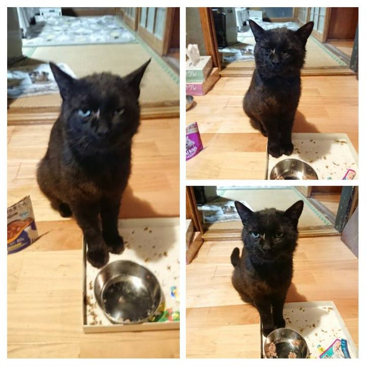 8516908a fcf7 4f10 8549 0a05e86ad340 1623756577835