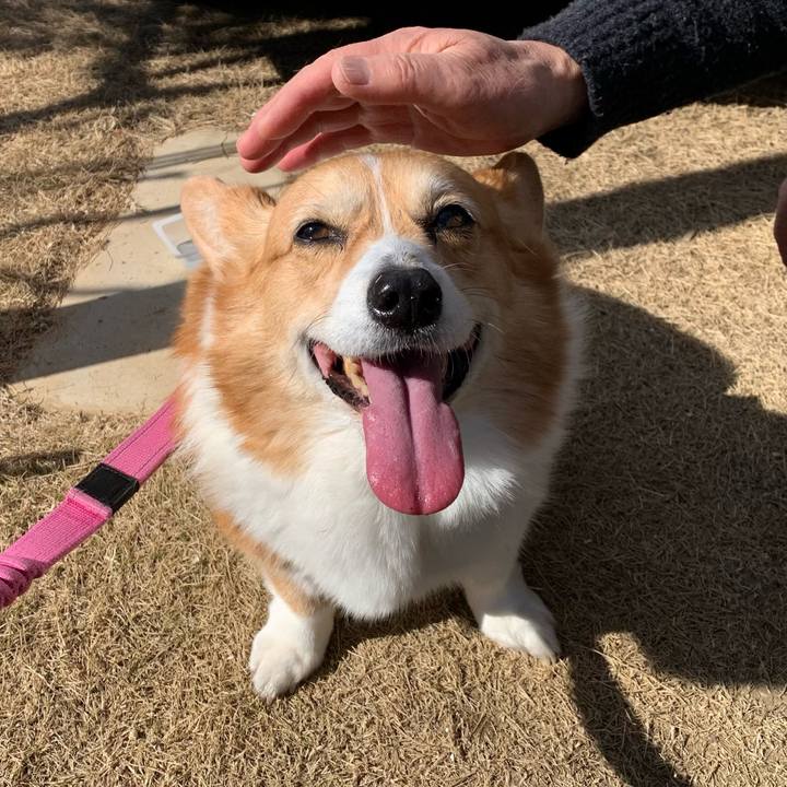 8516b7f7 06eb 4ce7 894b 9f72465553e1 1707710643885