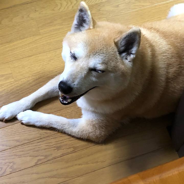 8516dc1d 8146 4f3c af57 b167ac7a49b9 1560582867543