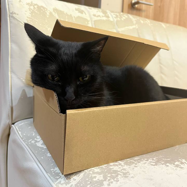 8516ed74 f86c 40ac 8494 4f3cdce2a960 1717767962562