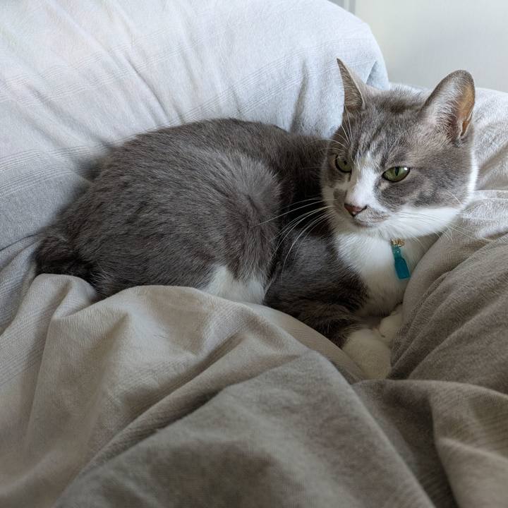 8516f02b 4401 4926 934d a39cec6940fb 1731543447187