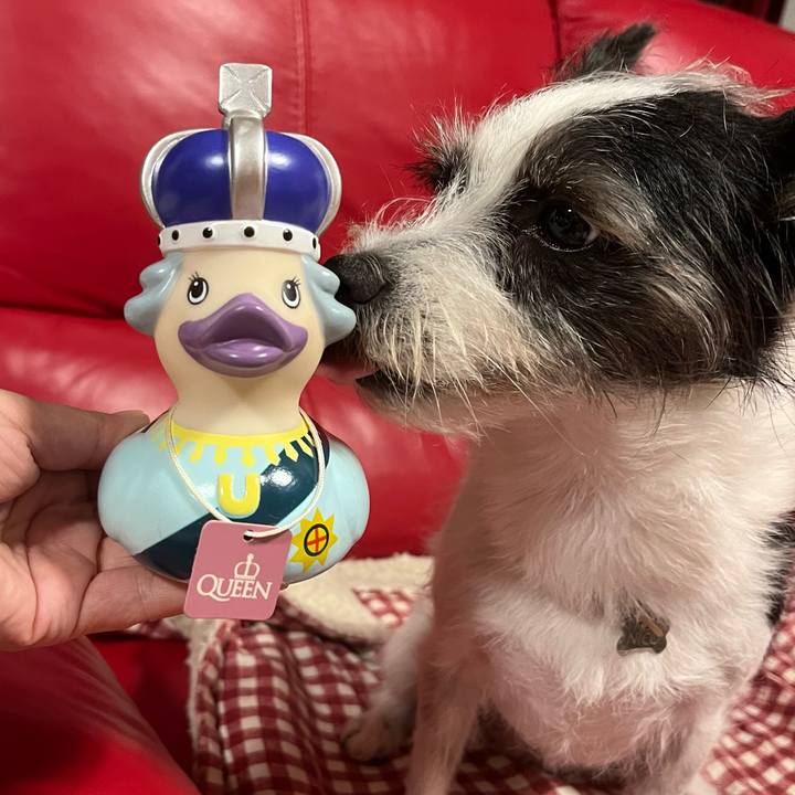 8517117b da5f 499b 9648 ac03867638cd 1663595358521