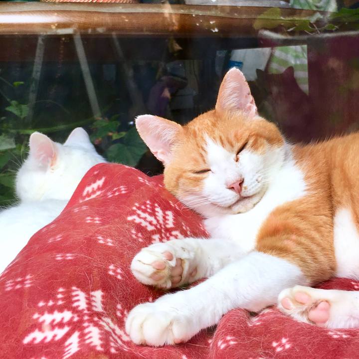 851762ef 8984 494d 82ff 3af02e9dad12 1565579395495