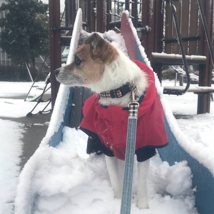 85177b7e c172 4afa af70 25503a290d9e 1517529332247