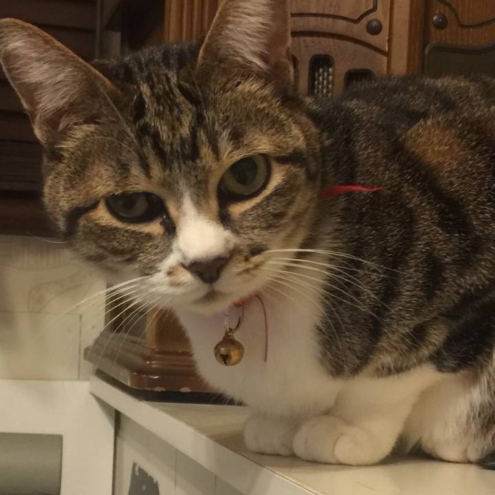 85178525 9b53 4883 9f3b aff766096391 1551972690784