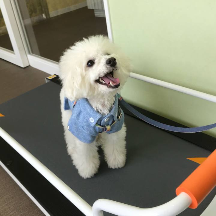 85179486 8e95 4b88 bdde f0e6596e4cd4 1556179857411