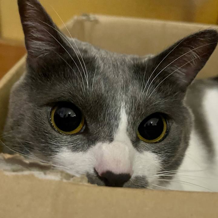 8517ba90 d064 4d93 95c5 e6a34bd32edc 1627298611477