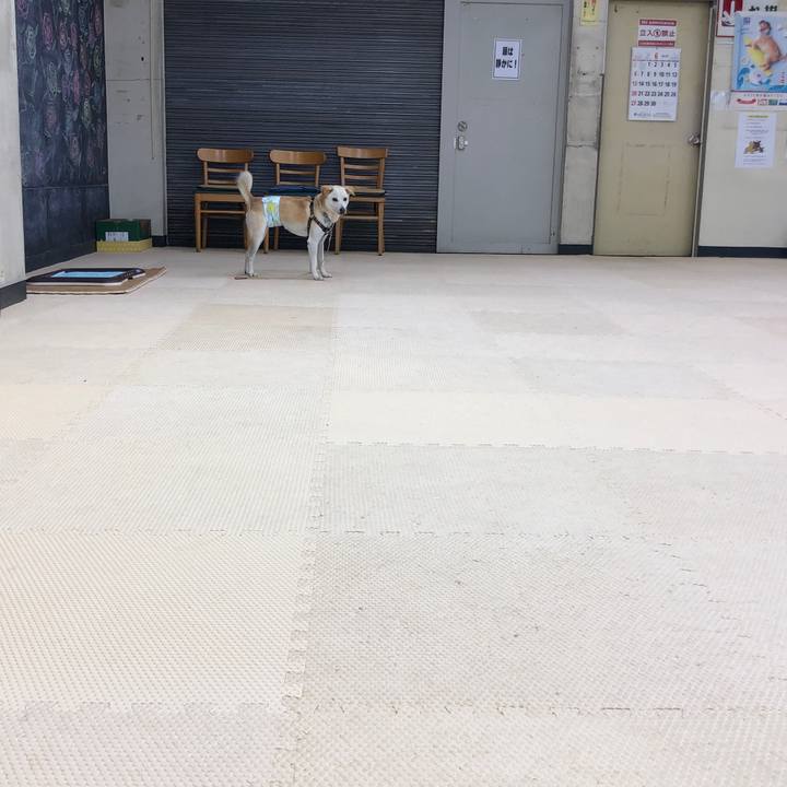 8517c4d3 f32c 4d2c 977f 6095d7c95914 1623714750158