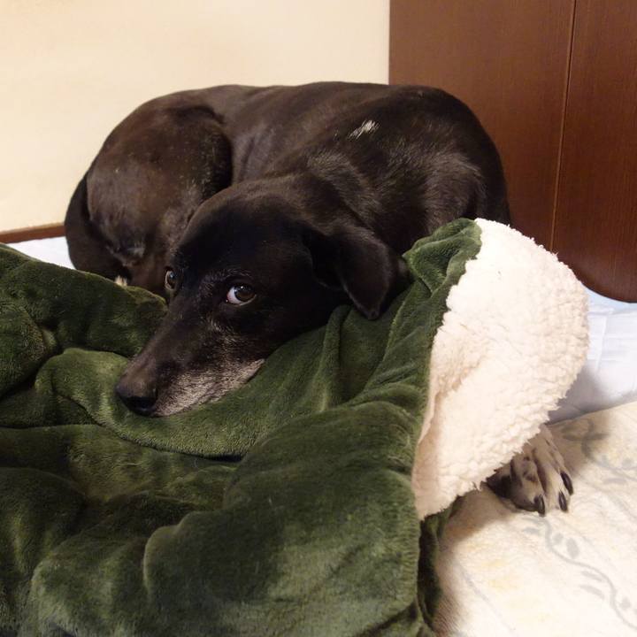 8517c625 be85 4146 b04f b5b558b61882 1749430760836