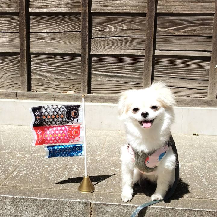 851802c2 ae2d 4a71 9fb9 84c6489dac85 1699805501985