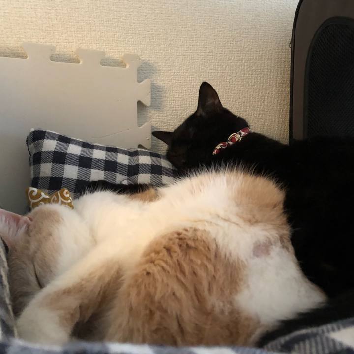 851831e5 bcf8 4fe9 a686 10e36d9f8be2 1578033619116