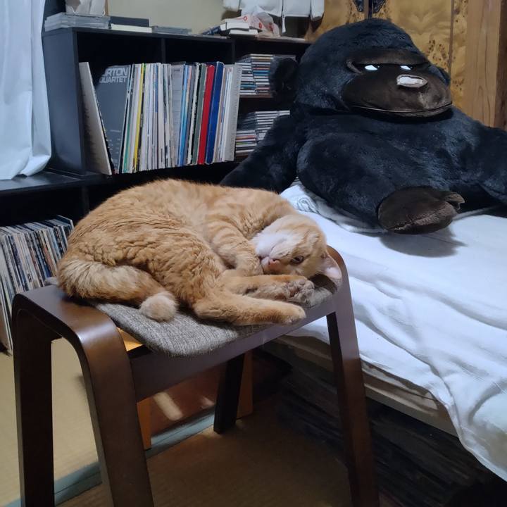 8518e70c 249d 45b7 b6b1 8baeb3e109a5 1686487651810