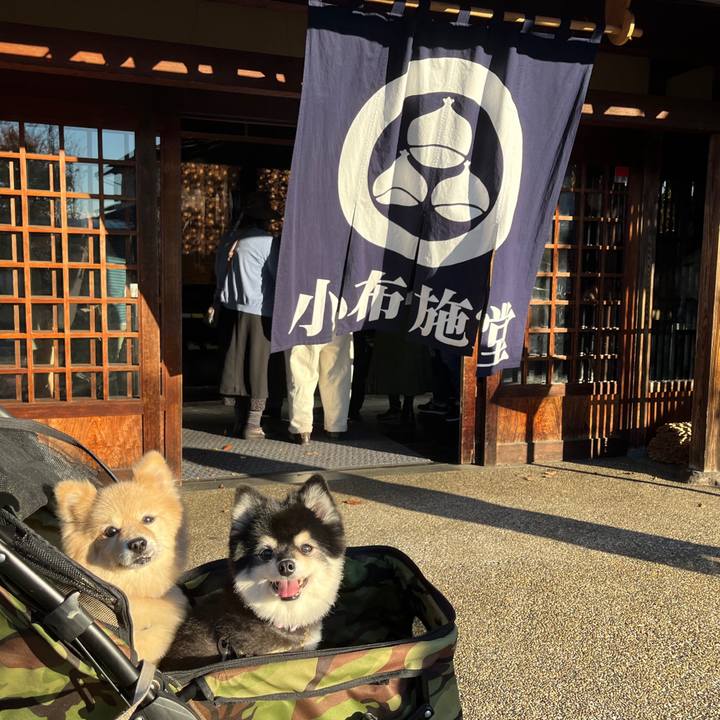 85192e12 64fc 4bc0 89ab 553d3ca319cb 1667779465708