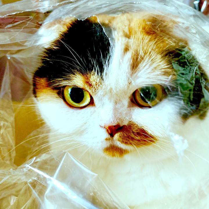 85196e44 c2d3 4d1c 9259 b82d9a0f1738 1568182329360